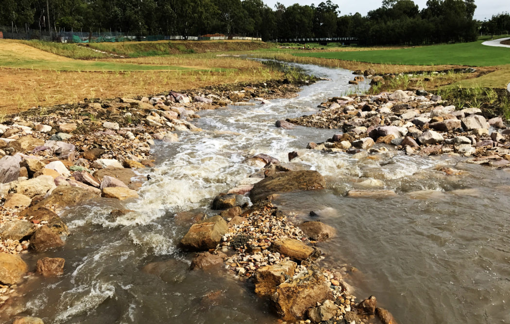Small Creek Bligh Tanner