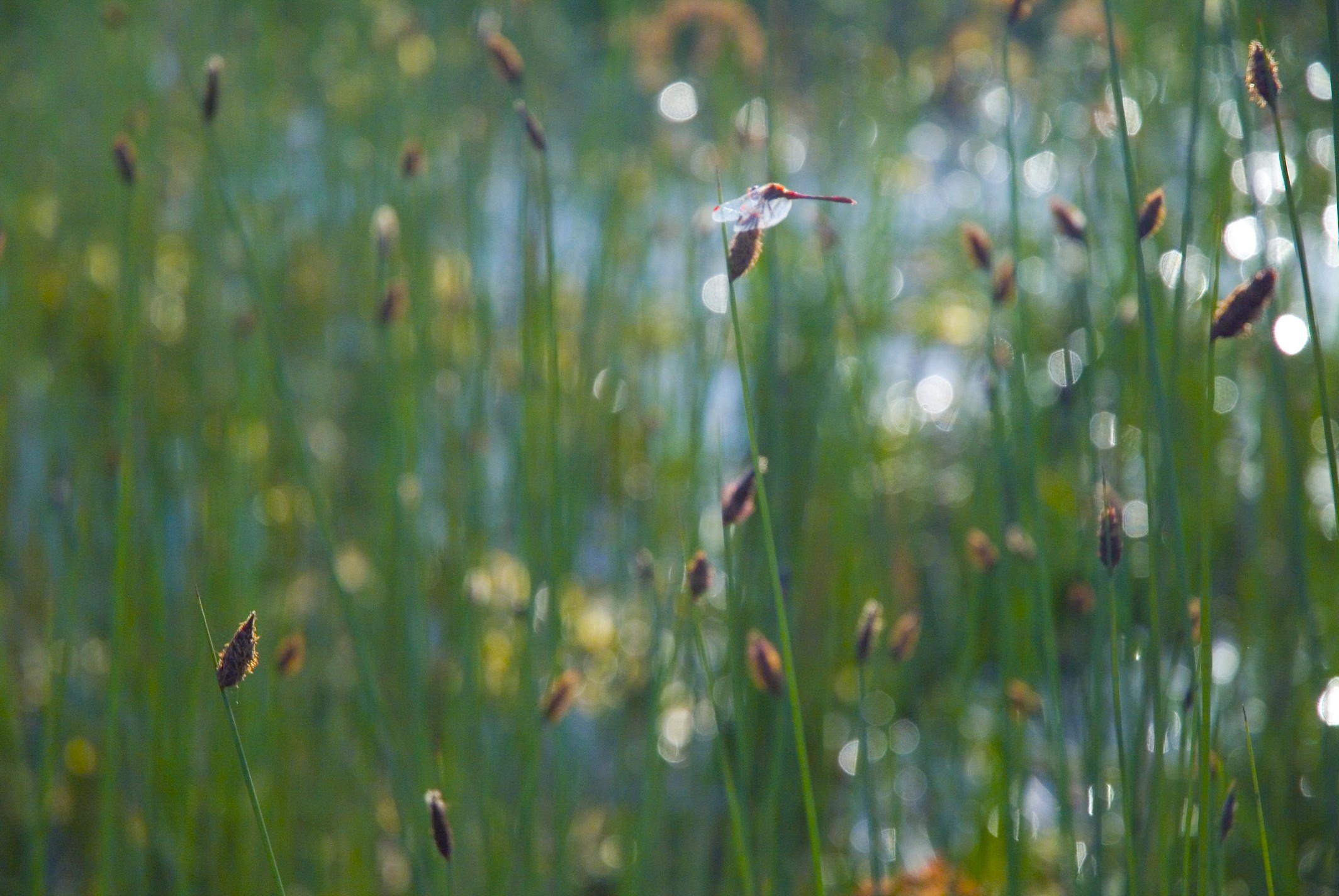 Warrigal Farms Complex Subdivision – Bligh Tanner