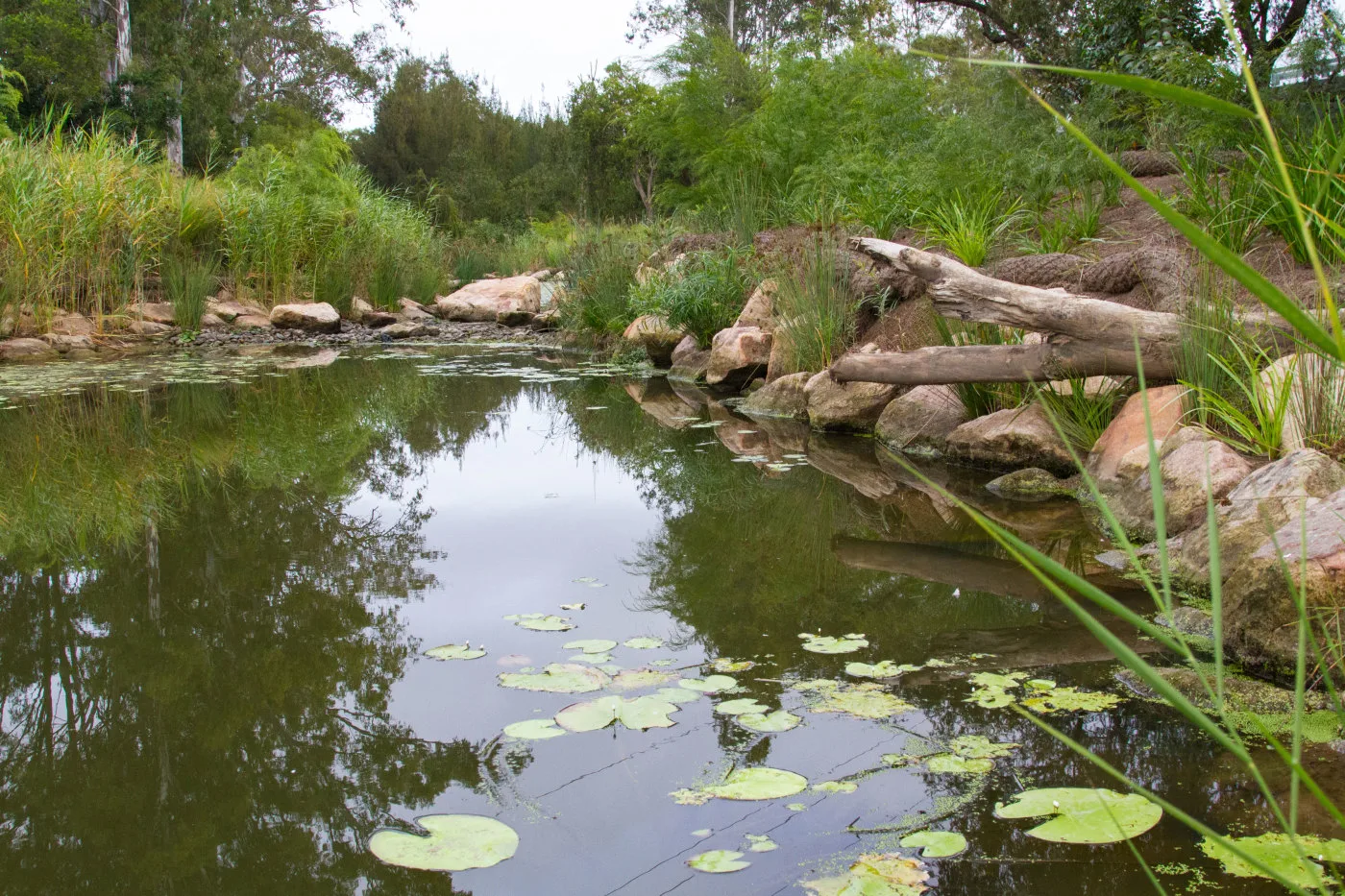 Bundamba Creek