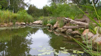 Bundamba Creek
