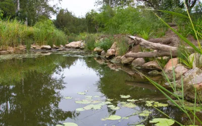Bundamba Creek