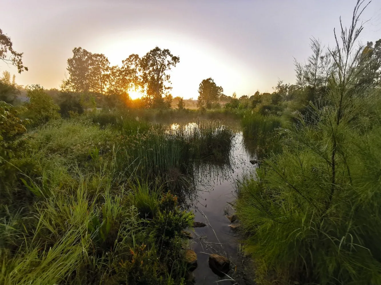 water-and-environment