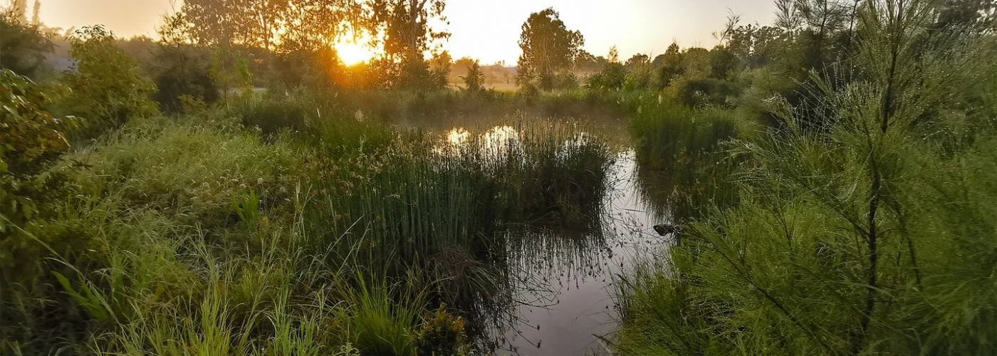 water-and-environment