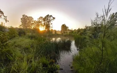 water-and-environment